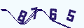 验证码